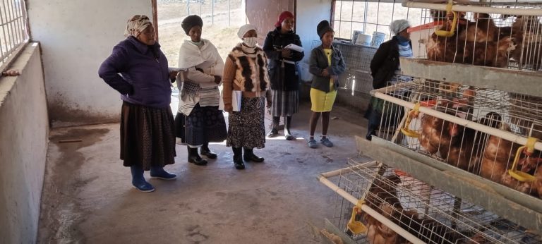 356084938_249420924459966_8420831463051553084_n