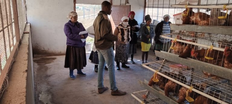 357010705_249420974459961_6610808732432448946_n