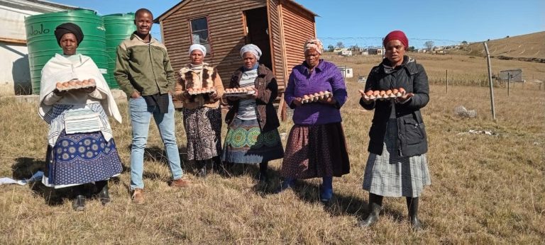 357100454_249420644459994_6864927747163239900_n