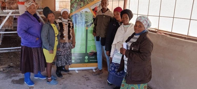 357207789_249420601126665_4399850959226057471_n