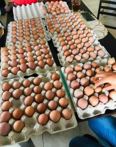 FB_IMG_1682535704228