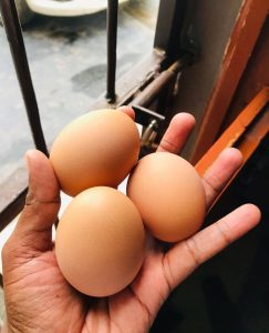 Screenshot_20230426_185309_Instagram