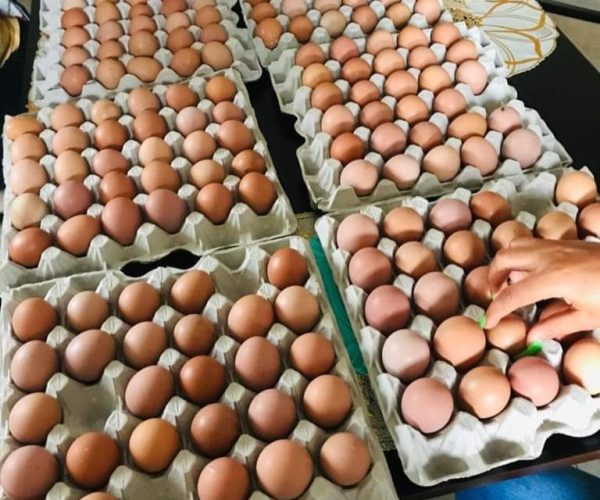 FB_IMG_1682535704228